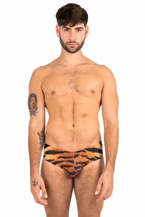 Brief Tigre