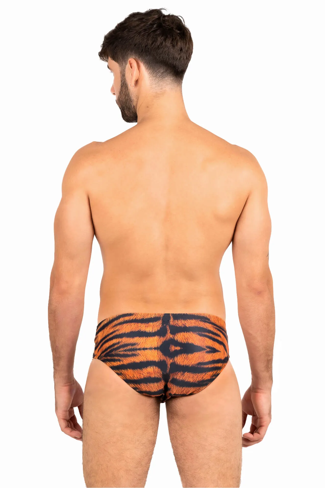 Brief Tigre