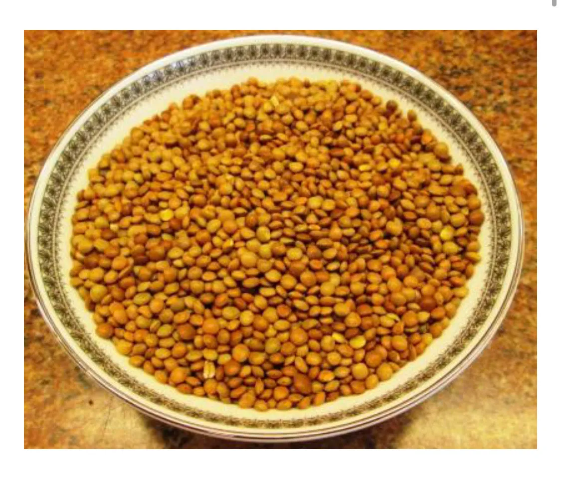 Casino Di Caprafico / Umbrian Lentils - 5kg, 11lbs