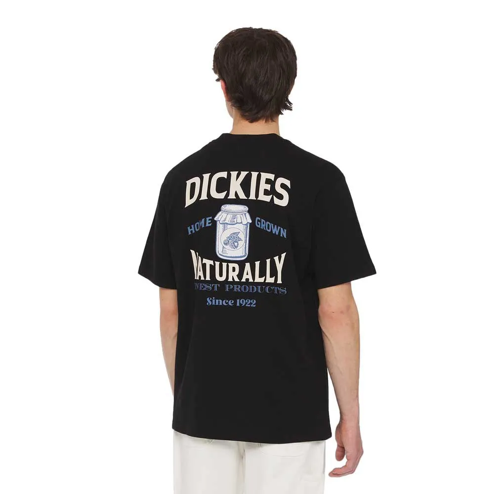 DICKIES CAMISETA ELLISTON TEE BLACK