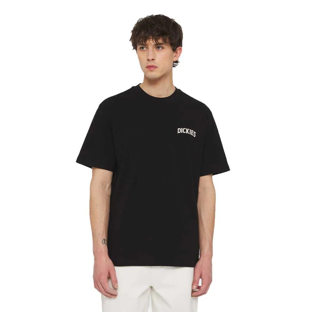 DICKIES CAMISETA ELLISTON TEE BLACK